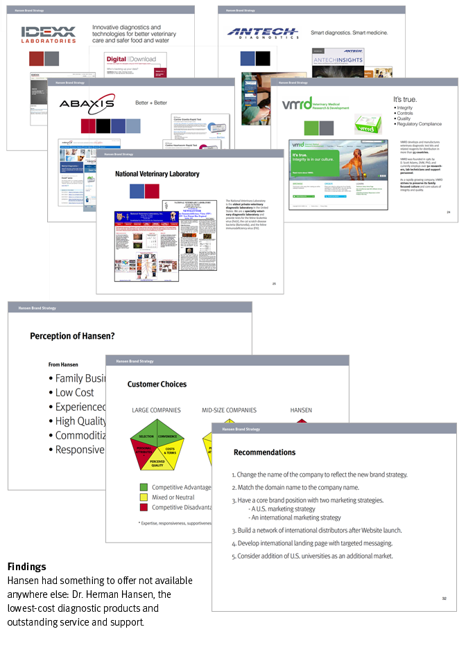 hansen group case study solution